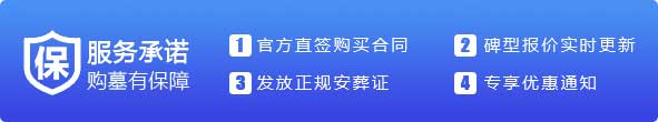 Alternate Text